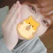 ヒメ日記 2024/12/23 17:57 投稿 こと 名古屋ちゃんこ