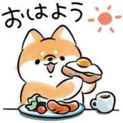 ヒメ日記 2025/05/13 08:31 投稿 こと 名古屋ちゃんこ