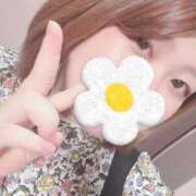 ヒメ日記 2025/05/16 11:37 投稿 こと 名古屋ちゃんこ