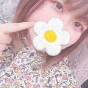 ヒメ日記 2025/05/16 13:27 投稿 こと 名古屋ちゃんこ