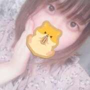 ヒメ日記 2025/05/17 17:14 投稿 こと 名古屋ちゃんこ