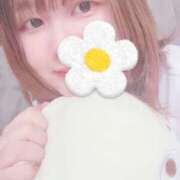 ヒメ日記 2025/05/20 13:39 投稿 こと 名古屋ちゃんこ