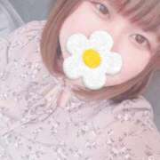 ヒメ日記 2025/05/21 13:47 投稿 こと 名古屋ちゃんこ