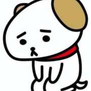 ヒメ日記 2025/05/23 05:37 投稿 こと 名古屋ちゃんこ