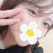 ヒメ日記 2025/05/31 15:27 投稿 こと 名古屋ちゃんこ