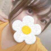 ヒメ日記 2025/06/01 22:37 投稿 こと 名古屋ちゃんこ