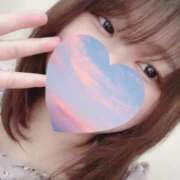 ヒメ日記 2025/06/02 12:57 投稿 こと 名古屋ちゃんこ