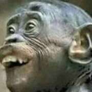 ヒメ日記 2025/02/12 11:02 投稿 ミリヤ 日暮里・西日暮里サンキュー