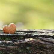 ヒメ日記 2025/03/17 14:41 投稿 ミリヤ 日暮里・西日暮里サンキュー