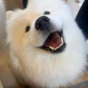 みなと 🐶 マリアージュ熊谷