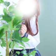 ヒメ日記 2024/12/26 20:54 投稿 星奈　りつ プルプル倶楽部 札幌すすきの店