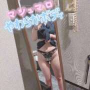 ヒメ日記 2025/03/12 18:03 投稿 星奈　りつ プルプル倶楽部 札幌すすきの店