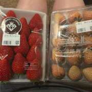 ヒメ日記 2025/03/23 14:42 投稿 星奈　りつ プルプル倶楽部 札幌すすきの店