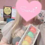 ヒメ日記 2025/03/23 16:48 投稿 星奈　りつ プルプル倶楽部 札幌すすきの店