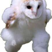 ヒメ日記 2025/04/04 10:33 投稿 星奈　りつ プルプル倶楽部 札幌すすきの店