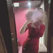 ヒメ日記 2025/04/11 10:19 投稿 星奈　りつ プルプル倶楽部 札幌すすきの店