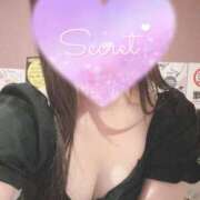 ヒメ日記 2025/10/25 11:33 投稿 星奈　りつ プルプル倶楽部 札幌すすきの店