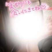 ヒメ日記 2025/11/14 16:18 投稿 星奈　りつ プルプル倶楽部 札幌すすきの店