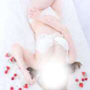 ヒメ日記 2025/11/26 19:33 投稿 星奈　りつ プルプル倶楽部 札幌すすきの店