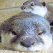 ヒメ日記 2024/12/24 18:29 投稿 凛花(りか) 高知デリヘル倶楽部 人妻熟女専門店