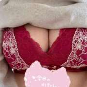 ヒメ日記 2025/02/10 17:39 投稿 凛花(りか) 高知デリヘル倶楽部 人妻熟女専門店