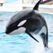 ヒメ日記 2025/06/09 18:18 投稿 凛花(りか) 高知デリヘル倶楽部 人妻熟女専門店