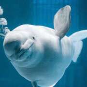 ヒメ日記 2025/06/20 21:18 投稿 凛花(りか) 高知デリヘル倶楽部 人妻熟女専門店