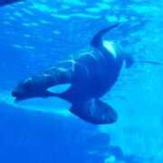 ヒメ日記 2025/07/02 19:24 投稿 凛花(りか) 高知デリヘル倶楽部 人妻熟女専門店