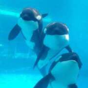 ヒメ日記 2025/07/07 18:06 投稿 凛花(りか) 高知デリヘル倶楽部 人妻熟女専門店