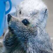 ヒメ日記 2025/09/12 20:52 投稿 凛花(りか) 高知デリヘル倶楽部 人妻熟女専門店