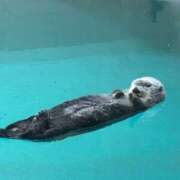 ヒメ日記 2025/09/19 21:33 投稿 凛花(りか) 高知デリヘル倶楽部 人妻熟女専門店