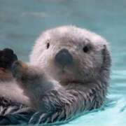 ヒメ日記 2025/10/06 14:41 投稿 凛花(りか) 高知デリヘル倶楽部 人妻熟女専門店