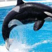 ヒメ日記 2025/11/21 20:19 投稿 凛花(りか) 高知デリヘル倶楽部 人妻熟女専門店