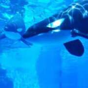 ヒメ日記 2025/12/22 22:23 投稿 凛花(りか) 高知デリヘル倶楽部 人妻熟女専門店