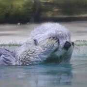 ヒメ日記 2025/12/30 23:59 投稿 凛花(りか) 高知デリヘル倶楽部 人妻熟女専門店