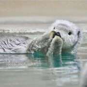 ヒメ日記 2026/01/22 19:41 投稿 凛花(りか) 高知デリヘル倶楽部 人妻熟女専門店