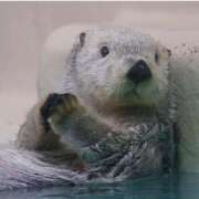 ヒメ日記 2026/01/27 10:47 投稿 凛花(りか) 高知デリヘル倶楽部 人妻熟女専門店