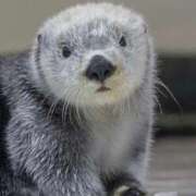 ヒメ日記 2026/01/31 12:28 投稿 凛花(りか) 高知デリヘル倶楽部 人妻熟女専門店