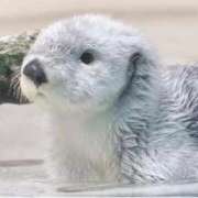 ヒメ日記 2026/02/15 12:44 投稿 凛花(りか) 高知デリヘル倶楽部 人妻熟女専門店