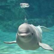 ヒメ日記 2026/03/15 18:37 投稿 凛花(りか) 高知デリヘル倶楽部 人妻熟女専門店