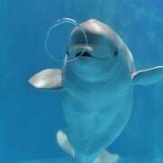 ヒメ日記 2026/03/20 17:17 投稿 凛花(りか) 高知デリヘル倶楽部 人妻熟女専門店