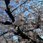 ヒメ日記 2026/04/11 19:28 投稿 凛花(りか) 高知デリヘル倶楽部 人妻熟女専門店