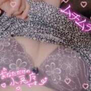 ヒメ日記 2026/02/03 15:24 投稿 月野 柚子 こあくまな熟女たち伊勢崎店（KOAKUMAグループ）