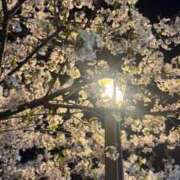 ことは 出勤してます！ ドMな奥さん 日本橋店