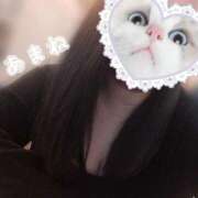 ヒメ日記 2026/04/29 21:25 投稿 あまね 香川高松ちゃんこ