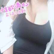 ヒメ日記 2026/05/25 15:09 投稿 あまね 香川高松ちゃんこ