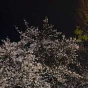 ヒメ日記 2025/04/09 18:53 投稿 みのり661(minori) 健康寿命を延ばす！恋愛コミュニティ otsto(オトスト)