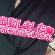 ヒメ日記 2025/05/30 10:03 投稿 えりか 大高・大府市・東海市ちゃんこ