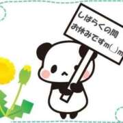 ヒメ日記 2025/07/29 13:53 投稿 えりか 大高・大府市・東海市ちゃんこ