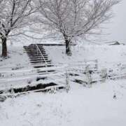 ヒメ日記 2026/02/08 09:53 投稿 えりか 大高・大府市・東海市ちゃんこ